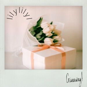 🫧✨g i v e a w a y ✨🫧